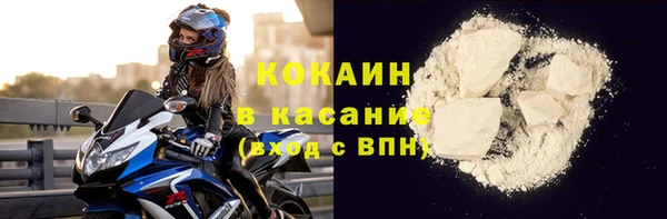 прущие грибы Медвежьегорск