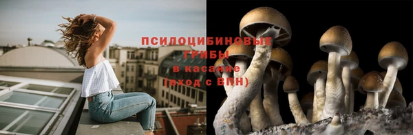 стаф Лиски