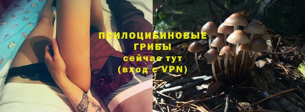 прущие крисы Медногорск